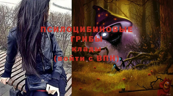 каннабис Белокуриха