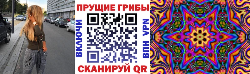 Псилоцибиновые грибы MAGIC MUSHROOMS Междуреченск